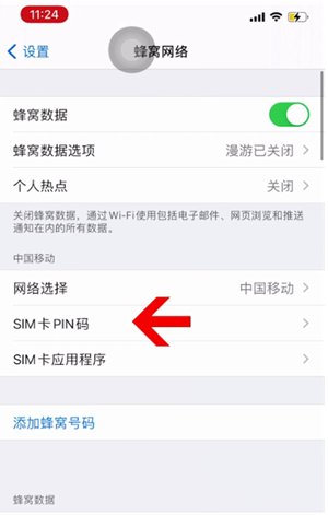 东山苹果14维修网分享如何给iPhone14的SIM卡设置密码 