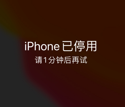 东山苹果手机维修分享:iPhone 显示“不可用”或“已停用”怎么办？还能保留数据吗？ 